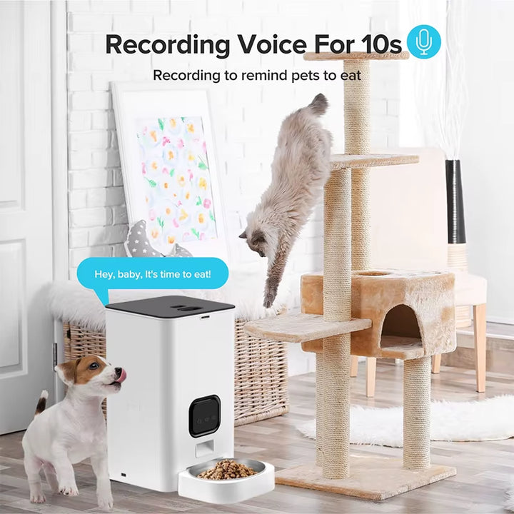 6L Smart WIFI Automatic Pet Feeder APP Control Cat Food Dispenser Automatic Dog Feeder Pet Timing Voice Dog Products